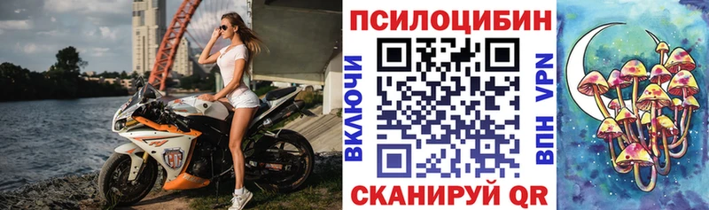 Псилоцибиновые грибы ЛСД  где продают   кракен ССЫЛКА  Велиж 
